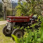 Casa de Campo Da Quinta Lavoura Da Bouça - Fruta Bio