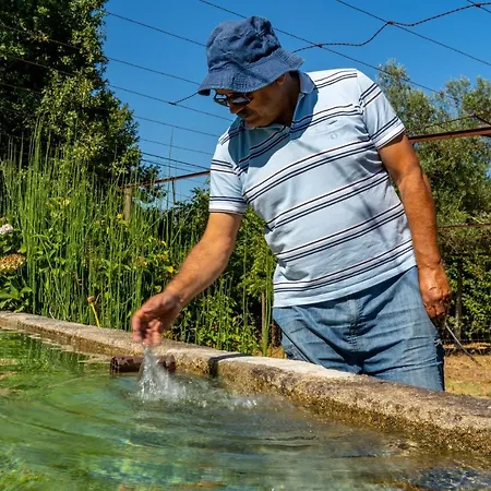 Casa de Campo Da Quinta Lavoura Da Bouça - Fruta Bio Celorico De Basto