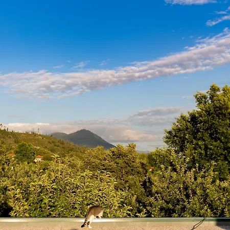 Casa di campagna Da Quinta Lavoura Da Bouça - Fruta Bio