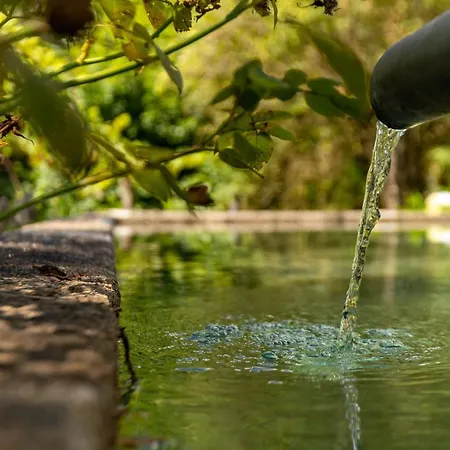 Casa di campagna Da Quinta Lavoura Da Bouça - Fruta Bio *