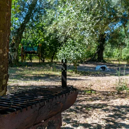 منزل ريفي Chale Da Quinta 