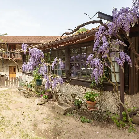Da Quinta Lavoura Da Bouça - Fruta Bio