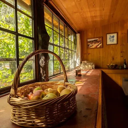 Da Quinta Lavoura Da Bouça - Fruta Bio Casa di campagna