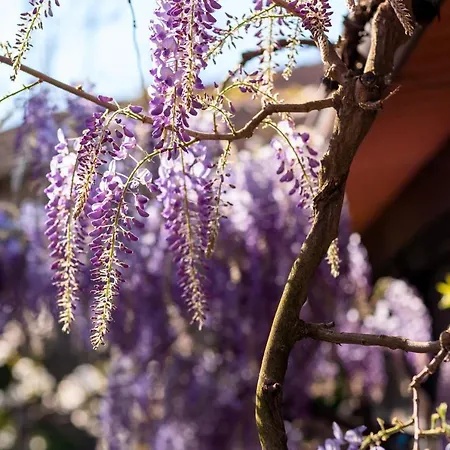 Da Quinta Lavoura Da Bouça - Fruta Bio *