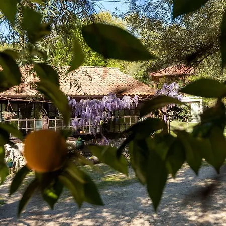 Da Quinta Lavoura Da Bouça - Fruta Bio