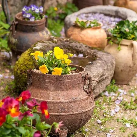 Casa di campagna Da Quinta Lavoura Da Bouça - Fruta Bio Celorico De Basto