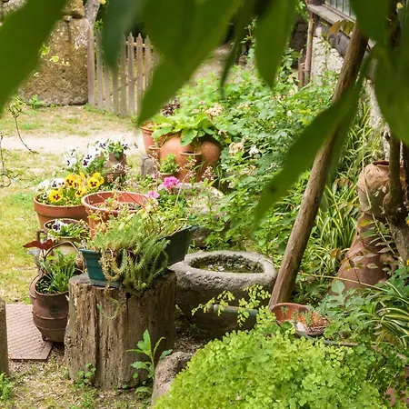 Летний дом Chale Da Quinta 