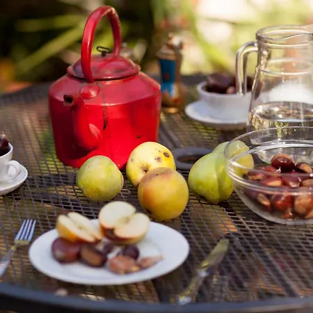 Летний дом Chale Da Quinta 