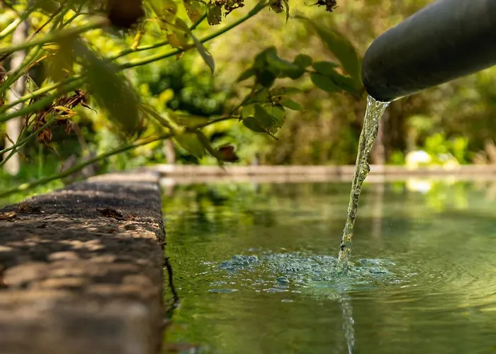 Gospodarstwo wiejskie Chale Da Quinta 