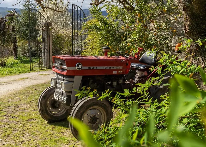 컨트리하우스 Chale Da Quinta 