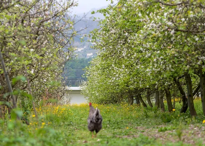 Gospodarstwo wiejskie Chale Da Quinta 