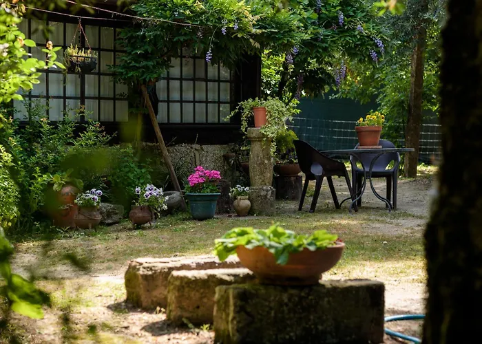 Gospodarstwo wiejskie Chale Da Quinta 