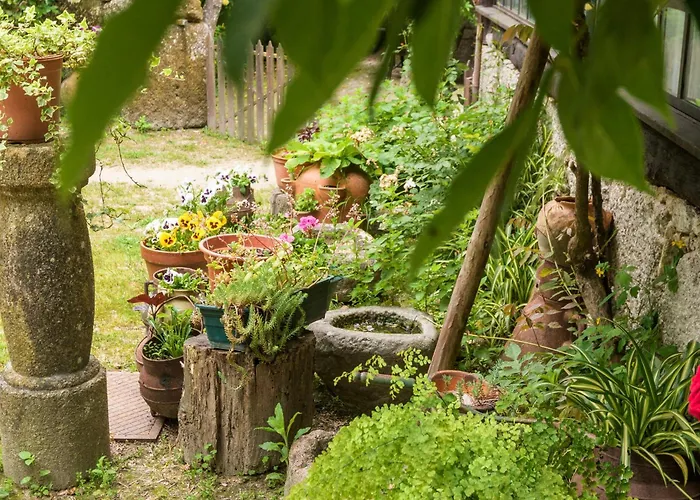 Gospodarstwo wiejskie Chale Da Quinta 